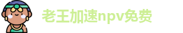 老王加速npv免费